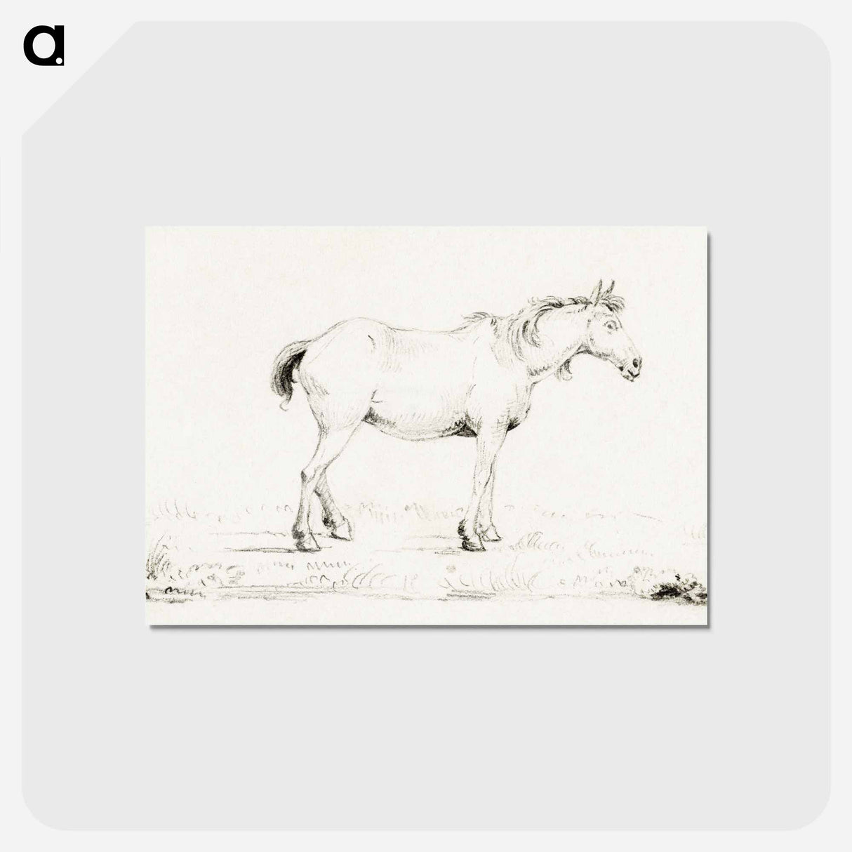 アートポストカード-Standing horse - ジャン ベルナール Postcard.