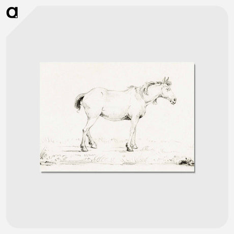 アートポストカード-Standing horse - ジャン ベルナール Postcard.
