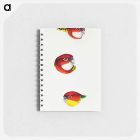 アートメモ帳-Australian Rosellas and Parrakeets
 - ジョン グールド Memo.