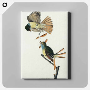 アートパネル-Great Crested Flycatcher
 - ジョン ジェームス オーデュボン Canvas.