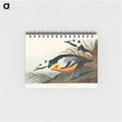 アートメモ帳-Western Duck from Birds of America
 - アメリカの鳥たち Memo.