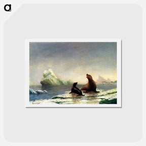 アートポストカード-Seals - アルバート ビアスタット Postcard.