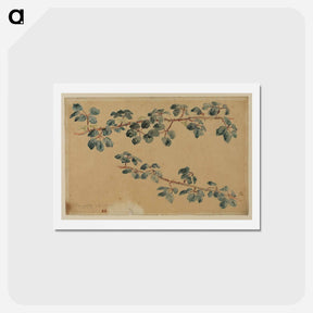 アートポストカード-Two branches with leaves - ウジェーヌ ドラクロワ Postcard.