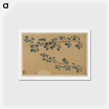 Two branches with leaves - ウジェーヌ ドラクロワ Postcard.