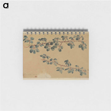 Two branches with leaves - ウジェーヌ ドラクロワ Memo.