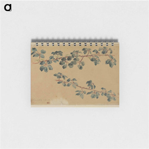 木の葉のある二枝 - ウジェーヌ ドラクロワ Memo.