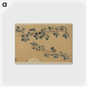 4-17_Eugene-Delacroix_postcard