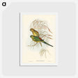 アートポストカード-Red-backed Parakeet
 - ジョン グールド Postcard.