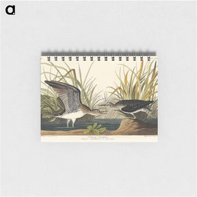 アートメモ帳-Solitary Sandpiper
 - ジョン ジェームス オーデュボン Memo.