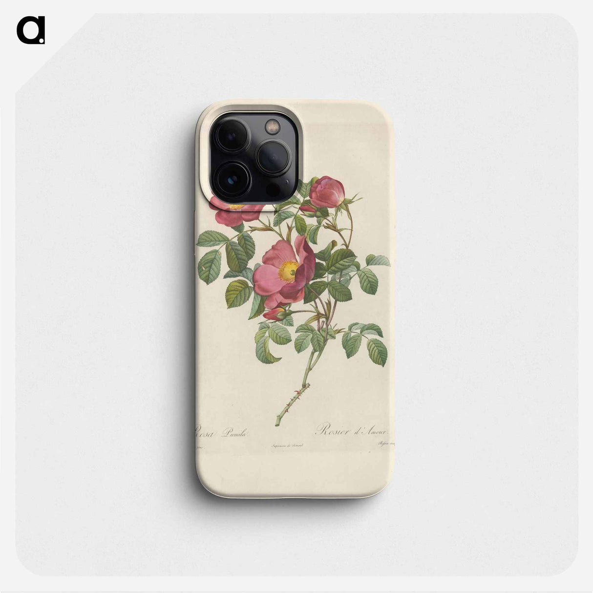 Rose illustration - ピエール ジョゼフ ルドゥーテ Phone Case.