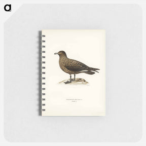アートメモ帳-Great Skua
 - スヴェンスカ フォグラル Memo.