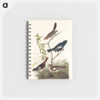 アートメモ帳-Lark Finch, Prairie Finch and Brown Song Sparrow from Birds of America
 - アメリカの鳥たち Memo.