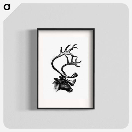 アートポスター-Deer from The Sportsman and Naturalist in Canada
 - 大英図書館 Poster.