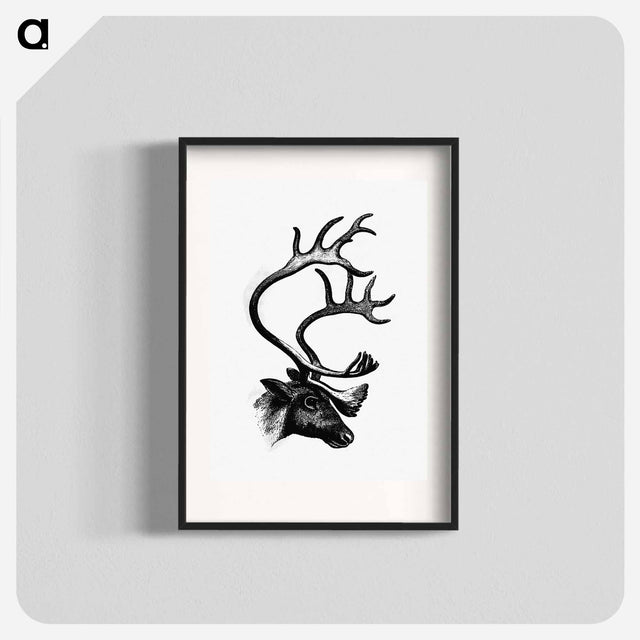 アートポスター-Deer from The Sportsman and Naturalist in Canada
 - 大英図書館 Poster.
