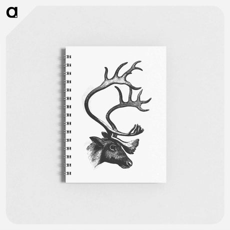 アートメモ帳-Deer from The Sportsman and Naturalist in Canada
 - 大英図書館 Memo.
