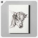 アートパネル-Head of a cow, with a ring through the nose - ジャン ベルナール Canvas.
