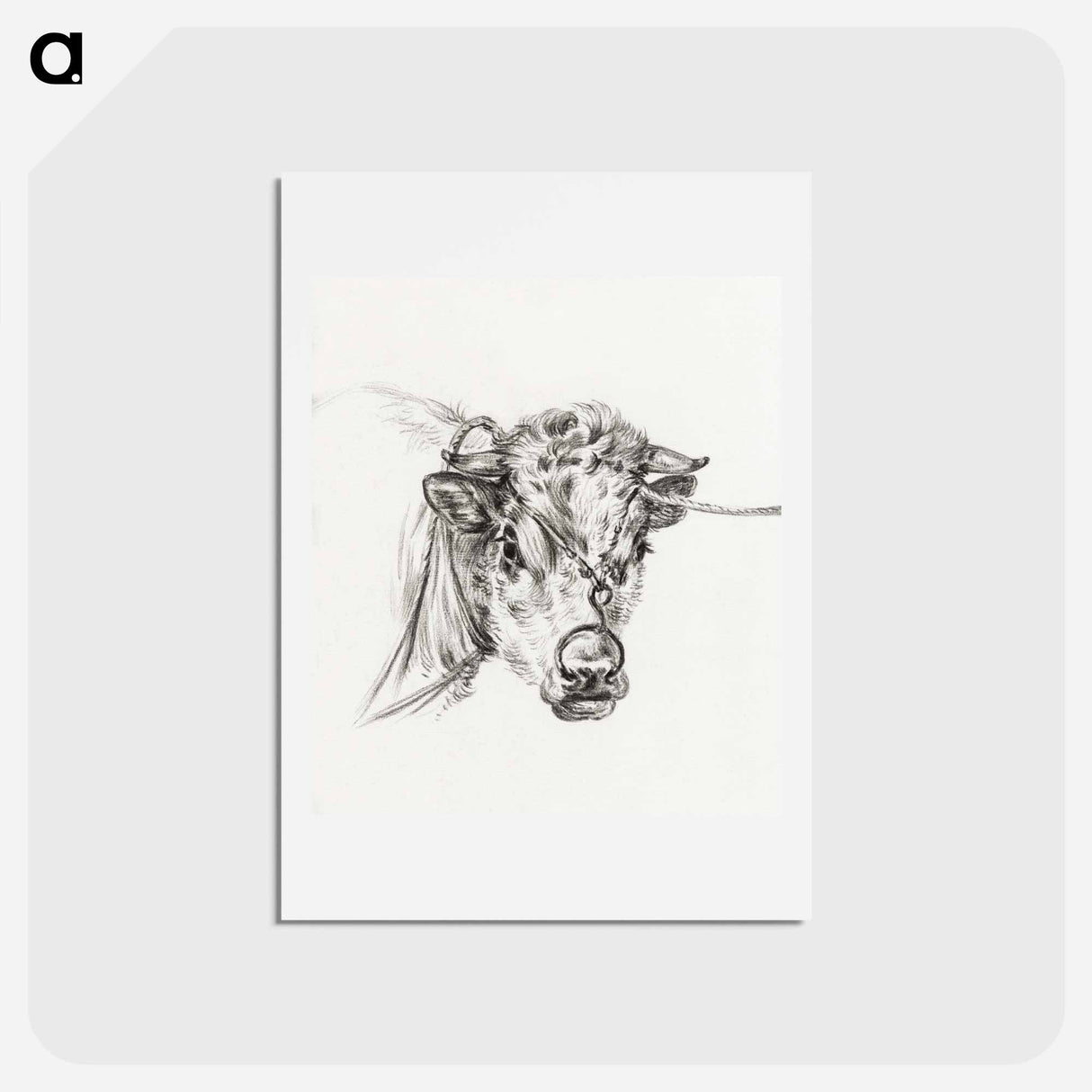 アートポストカード-Head of a cow, with a ring through the nose - ジャン ベルナール Postcard.