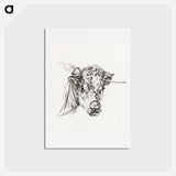 アートポストカード-Head of a cow, with a ring through the nose - ジャン ベルナール Postcard.