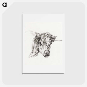 アートポストカード-Head of a cow, with a ring through the nose - ジャン ベルナール Postcard.