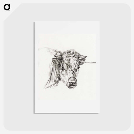 アートポストカード-Head of a cow, with a ring through the nose - ジャン ベルナール Postcard.