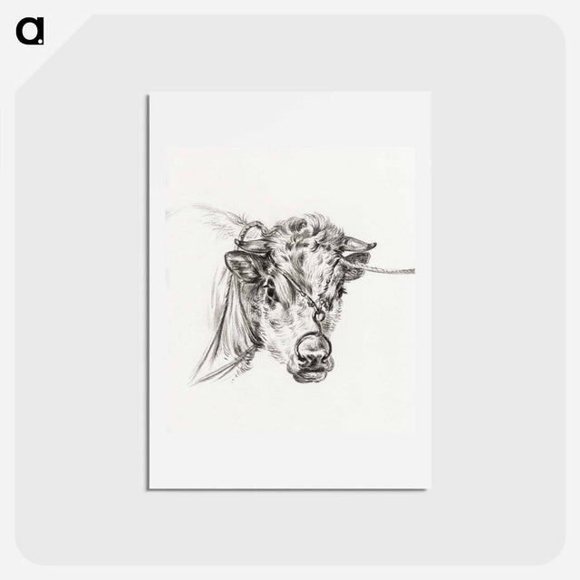 アートポストカード-Head of a cow, with a ring through the nose - ジャン ベルナール Postcard.