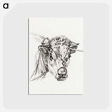 アートポストカード-Head of a cow, with a ring through the nose - ジャン ベルナール Postcard.