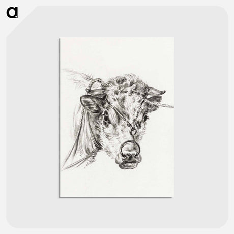 アートポストカード-Head of a cow, with a ring through the nose - ジャン ベルナール Postcard.