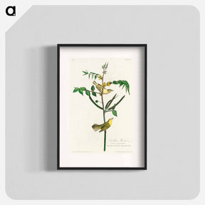 アートポスター-Children's Warbler
 - ジョン ジェームス オーデュボン Poster.