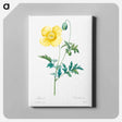 アートパネル-Welsh poppy - ピエール ジョゼフ ルドゥーテ Canvas.