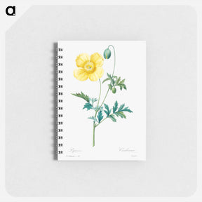 アートメモ帳-Welsh poppy - ピエール ジョゼフ ルドゥーテ Memo.