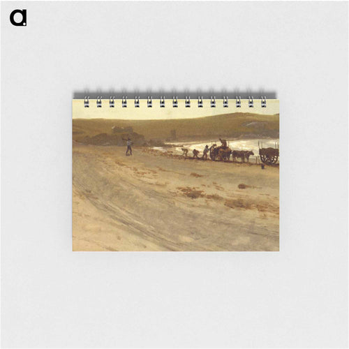 Seaweed Harvesting - アルバート ビアスタット Memo.