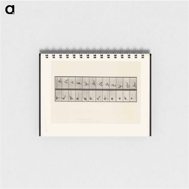 アートメモ帳-Pigeon in Flight
 - エドワード マイブリッジ Memo.