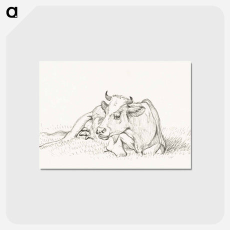 アートポストカード-Lying cow - ジャン ベルナール Postcard.