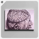 アートパネル-Cerebrum Depiction
 - 国立医学図書館 Canvas.