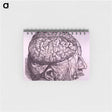 アートメモ帳-Cerebrum Depiction
 - 国立医学図書館 Memo.