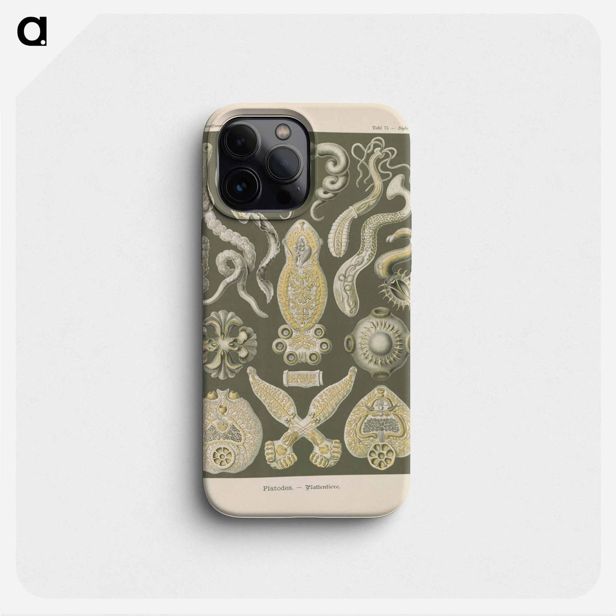 Marine life illustration - エルンスト ヘッケル Phone Case.