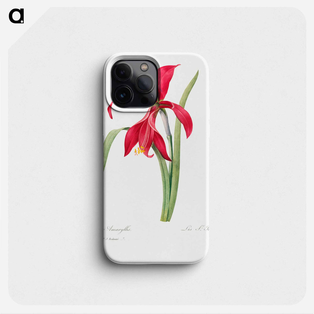 Amaryllis - ピエール ジョゼフ ルドゥーテ Phone Case.