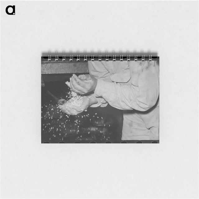 アートメモ帳-Adobe Rooftop, Costilla
 - ラッセル リー Memo.
