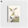アートメモ帳-Birds of America
 - アメリカの鳥たち Memo.