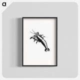 アートポスター-Lobster From The Zoological Miscellany
 - 大英図書館 Poster.