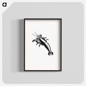 アートポスター-Lobster From The Zoological Miscellany
 - 大英図書館 Poster.