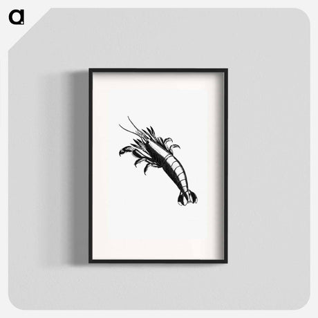 アートポスター-Lobster From The Zoological Miscellany
 - 大英図書館 Poster.