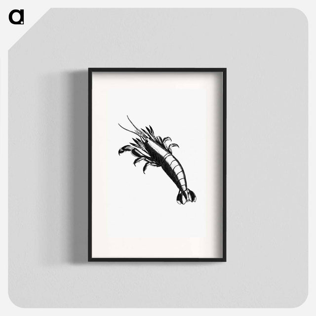 アートポスター-Lobster From The Zoological Miscellany
 - 大英図書館 Poster.