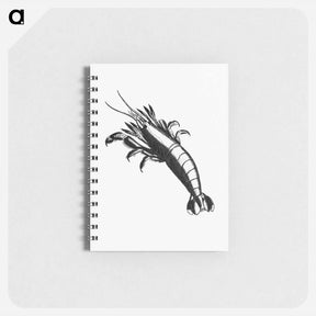 アートメモ帳-Lobster From The Zoological Miscellany
 - 大英図書館 Memo.