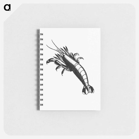 アートメモ帳-Lobster From The Zoological Miscellany
 - 大英図書館 Memo.