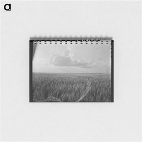 アートメモ帳-Oklahoma wheat - ドロテア ラング Memo.