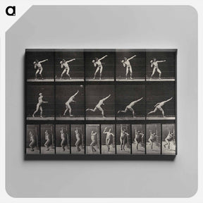 アートパネル-Putting the Shot
 - エドワード マイブリッジ Canvas.