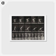 アートポストカード-Putting the Shot
 - エドワード マイブリッジ Postcard.