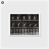 アートポストカード-Putting the Shot
 - エドワード マイブリッジ Postcard.