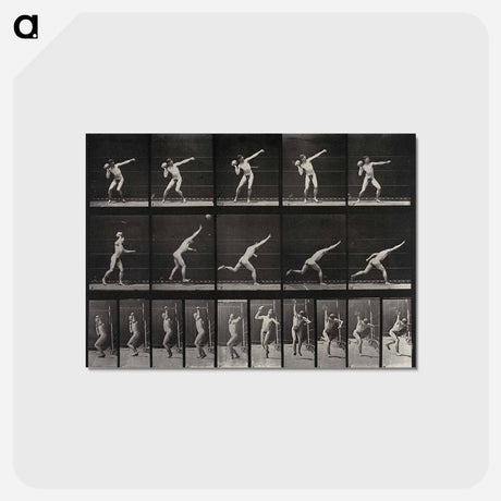 アートポストカード-Putting the Shot
 - エドワード マイブリッジ Postcard.